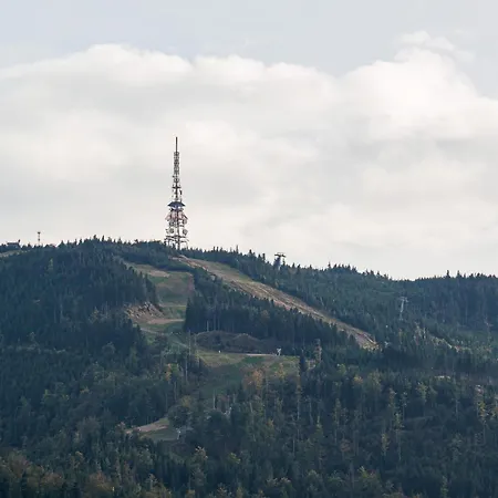 Beskid Apartment *