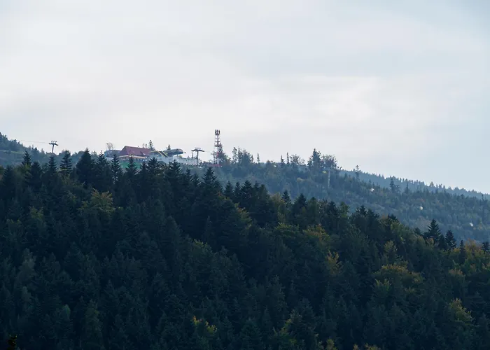 Beskid Appartement Szczyrk